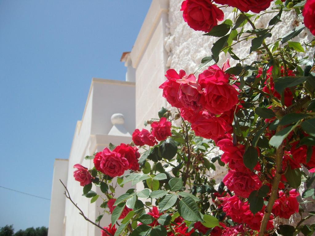 Masseria Nuova Hostal San Marzano di San Giuseppe Exterior foto