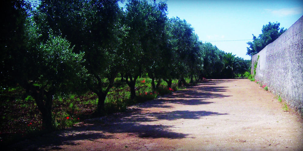 Masseria Nuova Hostal San Marzano di San Giuseppe Exterior foto